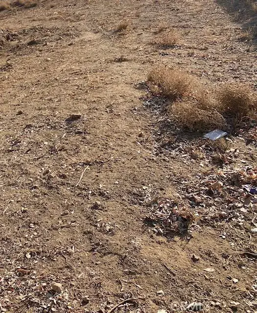 0 Vac/vic, Redman, CA 93535 - Image #1