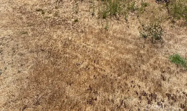 1 W Avenue Q, Palmdale, CA 93551 - Image #1