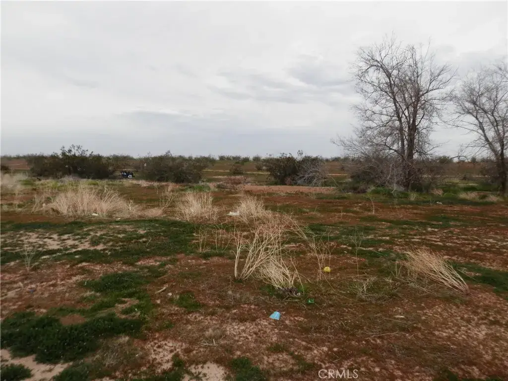 0 Chapparal, Adelanto, CA 92301 - #1