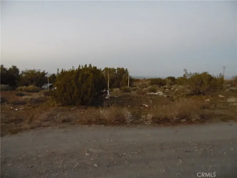 0 Acacia, Pinon Hills, CA 92372 - #3