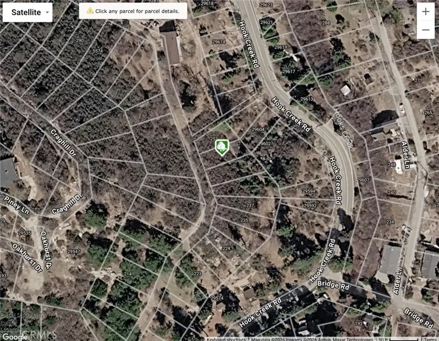 0 Pine, Cedar Glen, CA 92321 - #2