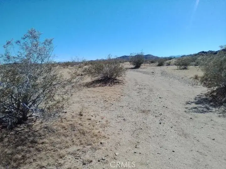 60820 Summers, Landers, CA 92285 - #3