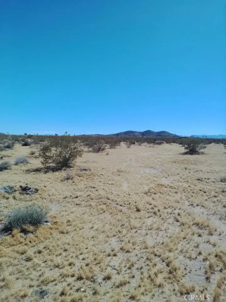 60731 Summers, Landers, CA 92285 - #2