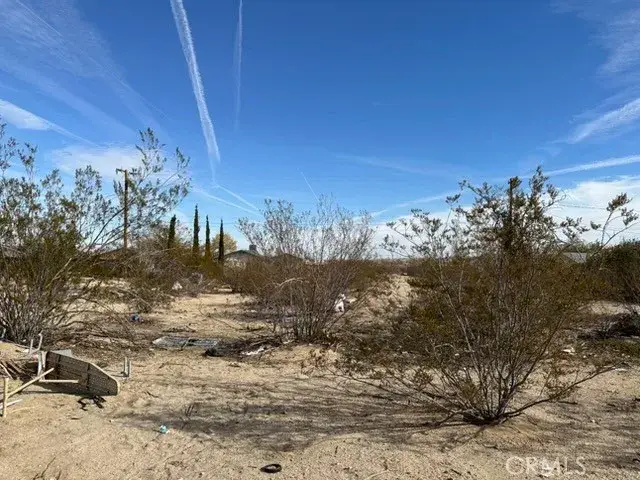 6325 Palm View, Twentynine Palms, CA 92277 - #3