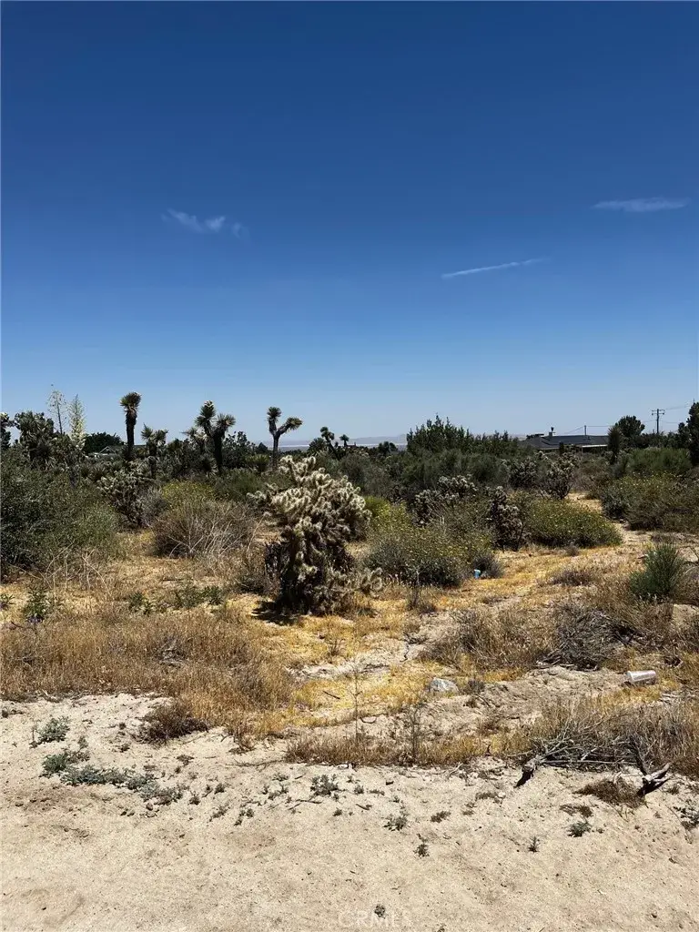 0 No Name, Phelan, CA 92371 - #1