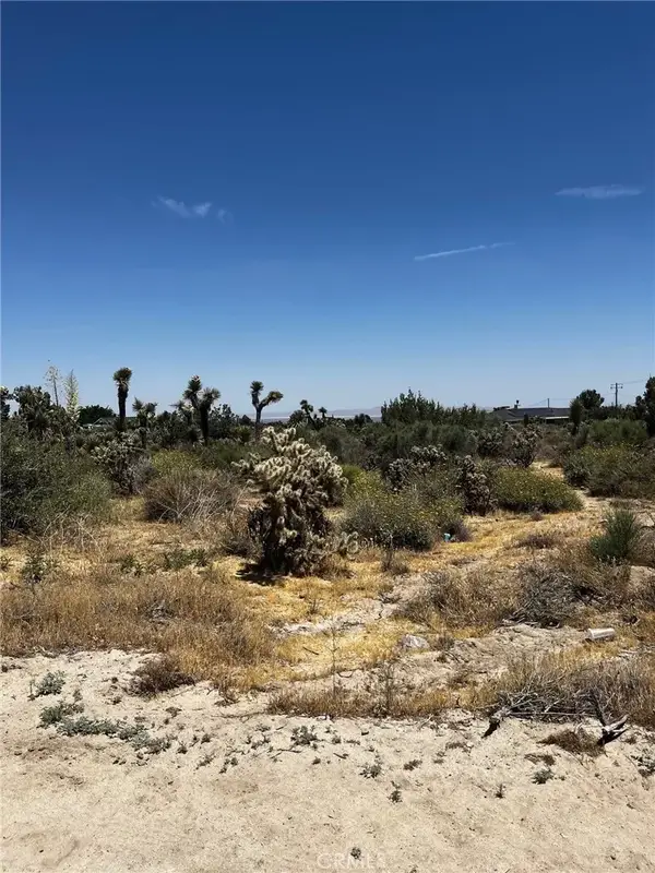 0 No Name, Phelan, CA 92371