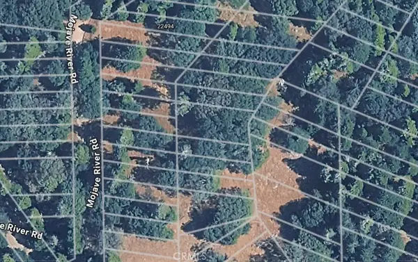 0 Mojave River, Cedarpines Park, CA 92322