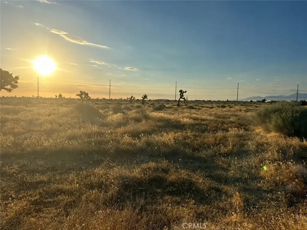 40650 Vac/11th Stw/vic Avenue N12, Palmdale, CA 93550 - #1
