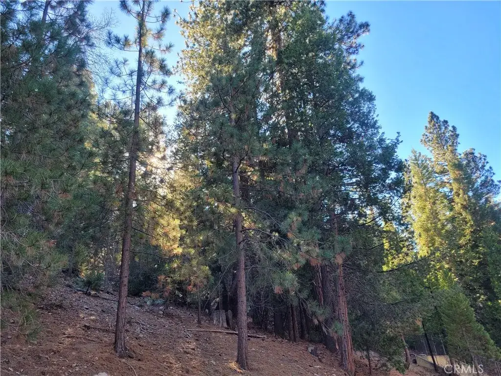0 Brentwood, Lake Arrowhead, CA 92352 - #1