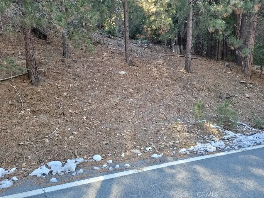 0 Brentwood, Lake Arrowhead, CA 92352 - #2