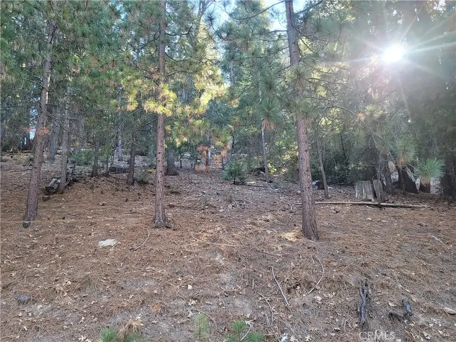 0 Brentwood, Lake Arrowhead, CA 92352 - #3