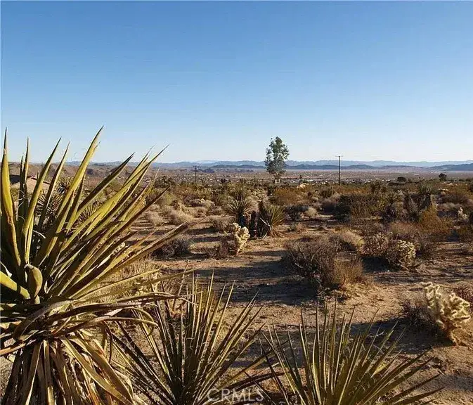 7275 Saddleback, Joshua Tree, CA 92252 - #1
