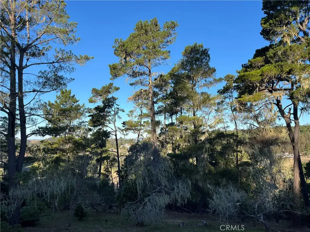 3235 Rogers, Cambria, CA 93428 - Image #1