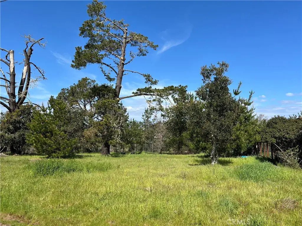 2540 Malvern, Cambria, CA 93428 - #1