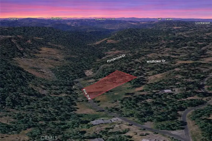 25700 Wildflower, Amador Pines, CA 95689 - #2