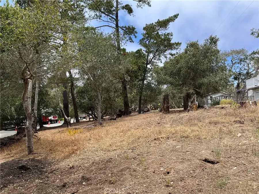 0 Langton, Cambria, CA 93428 - #3
