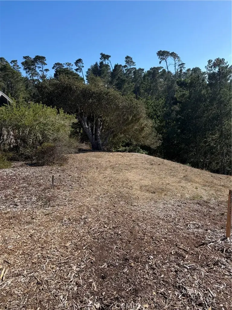 3123 Rogers, Cambria, CA 93428 - #1