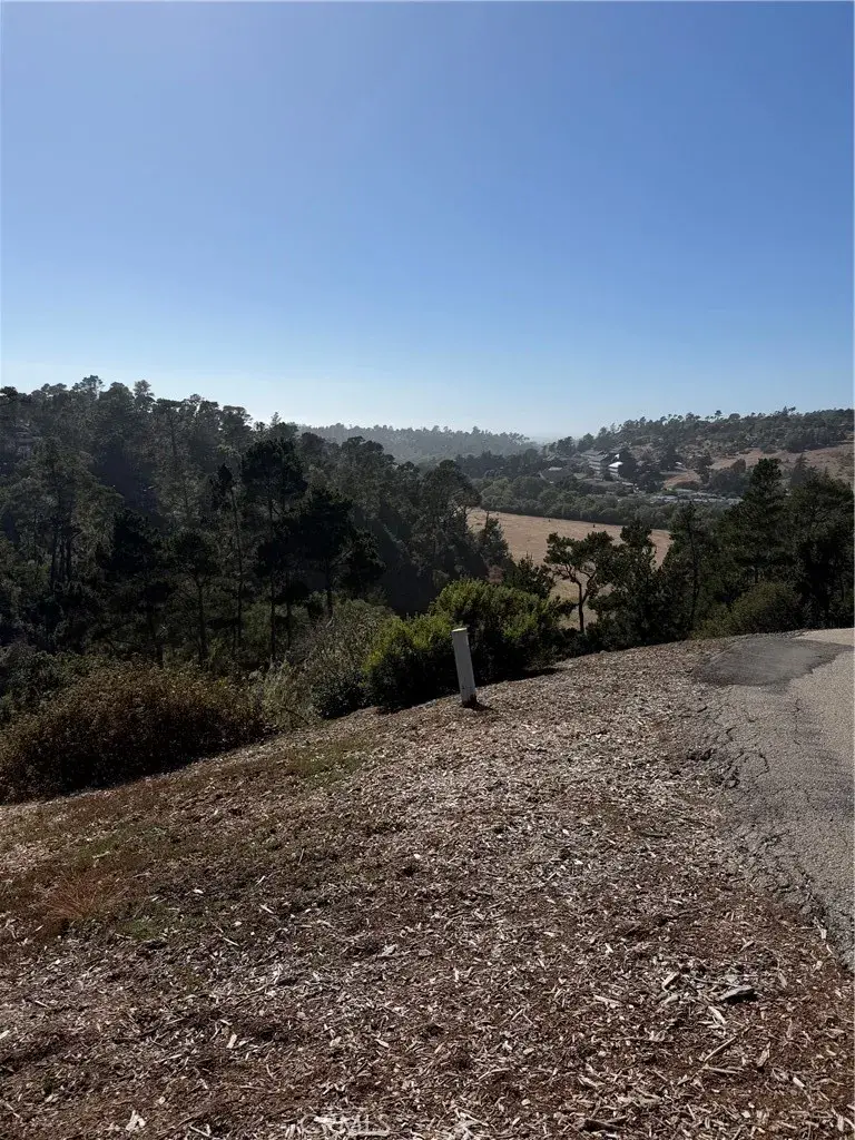 3123 Rogers, Cambria, CA 93428 - #2