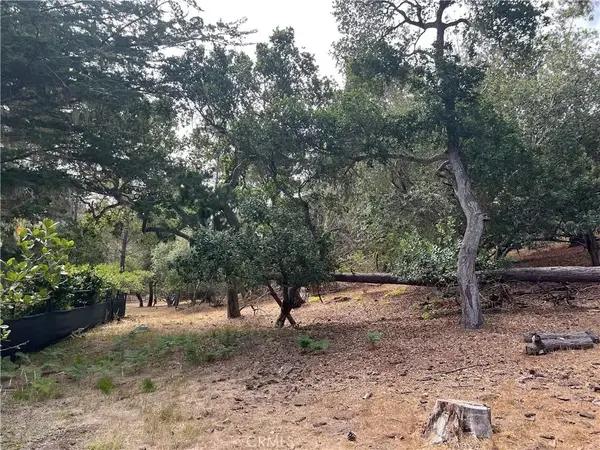 1280 Warren, Cambria, CA 93428
