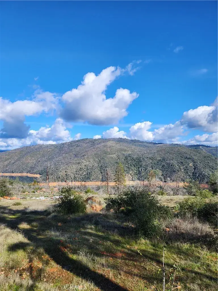 3901 Tippy Top Road, Oroville, CA 95965 - #1