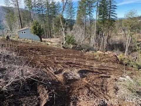 11424 Pine Summit, Cobb, CA 95426 - Image #2