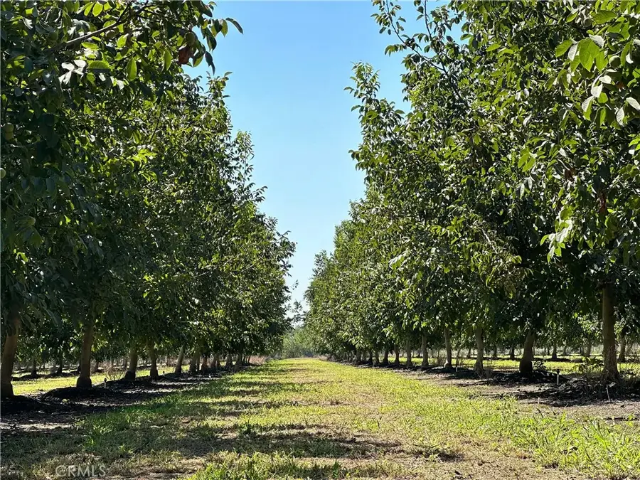 25392 Pennsylvania, Corning, CA 96021 - Image #3