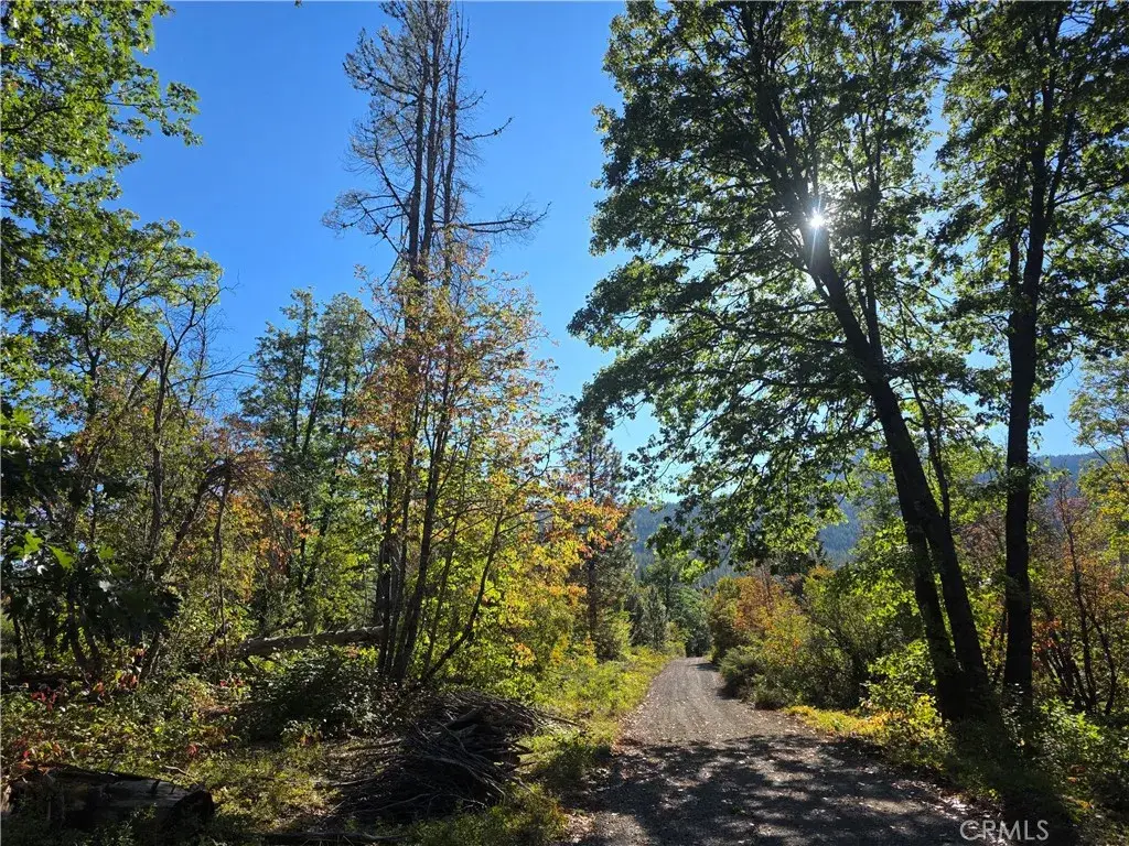 0 Muledeer Rd., Weed, CA 96094 - Image #1