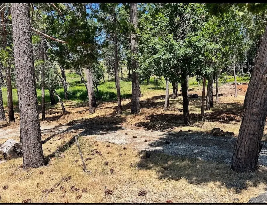 13917 Hobart, Magalia, CA 95954 - Image #3