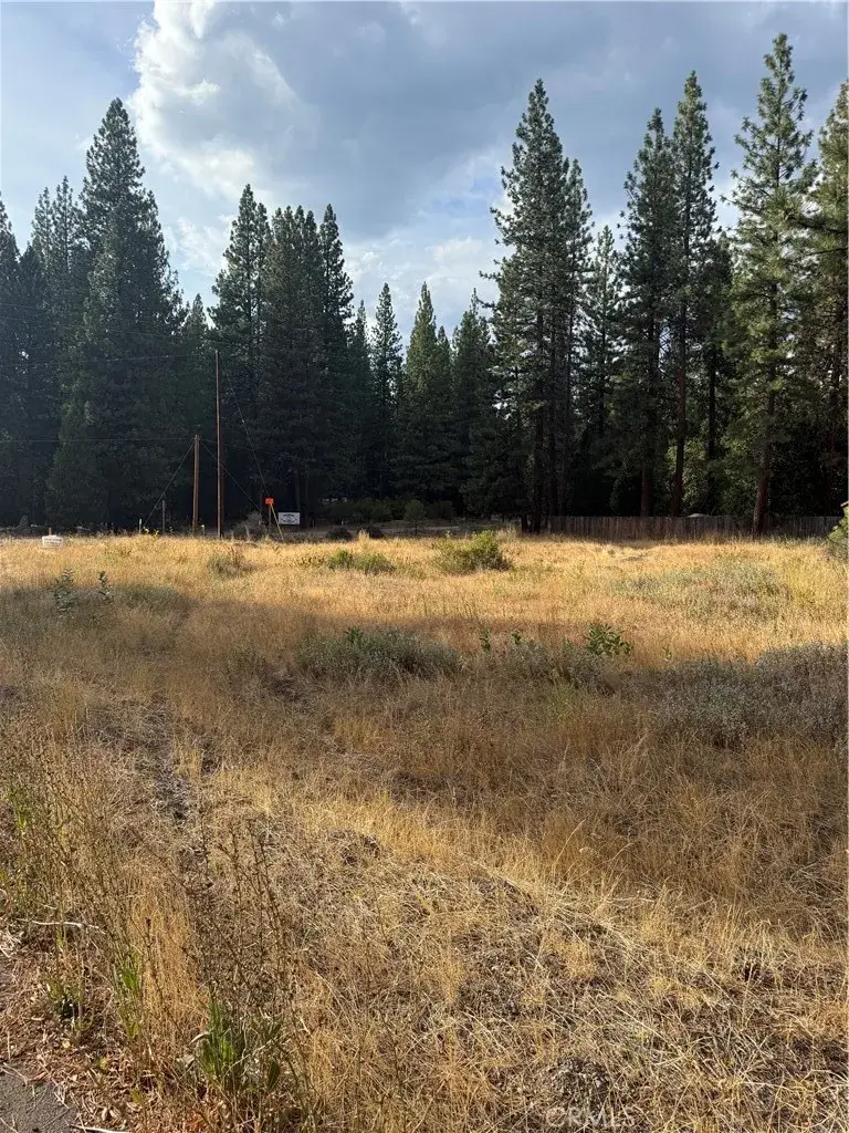 58373 Ca-70, Cromberg, CA 96103 - #3