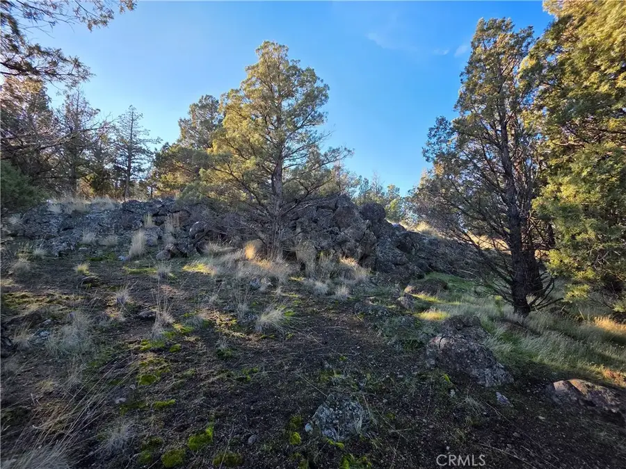 25 Quail Ridge, Weed, CA 96094 - #3