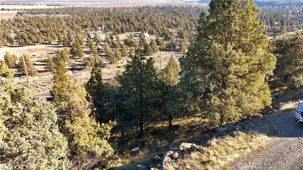 44 Dwinell, Weed, CA 96094 - #1