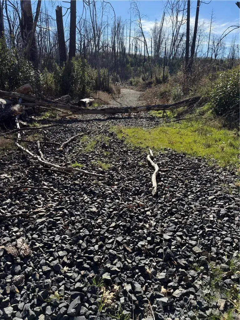 0 Inalane, Berry Creek, CA 95916 - Image #2