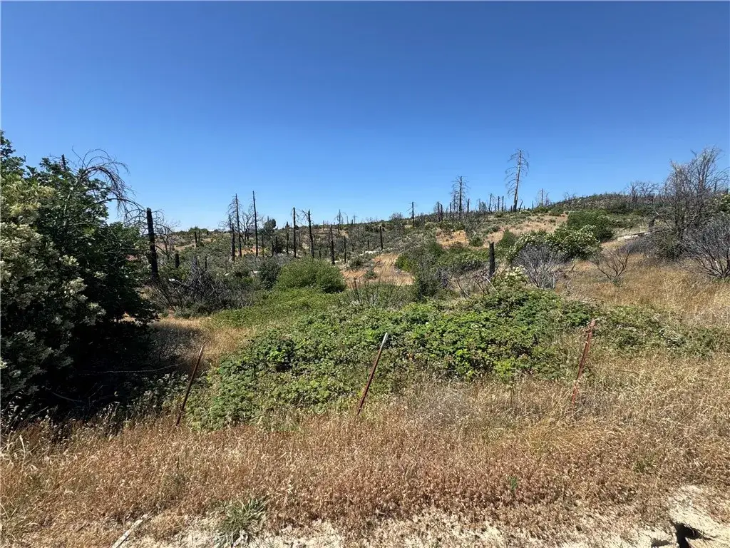 0 Sierra View, Berry Creek, CA 95916 - #1