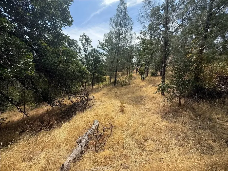 16295 Hillcrest, Corning, CA 96021 - #2