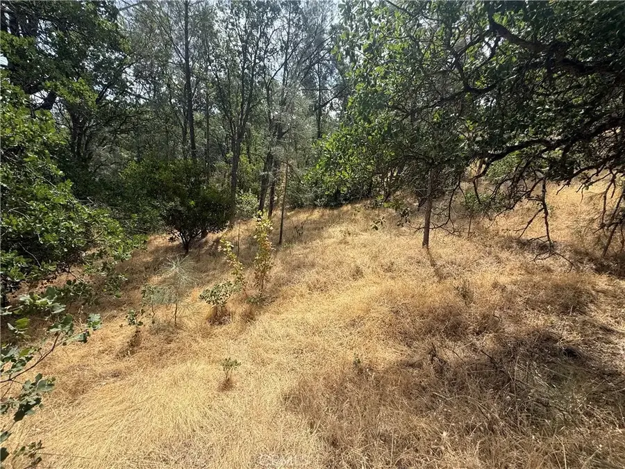 16295 Hillcrest, Corning, CA 96021 - #3