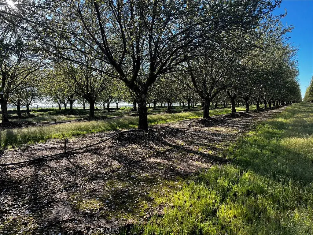 24186 Orangewood Road, Corning, CA 96021 - #1