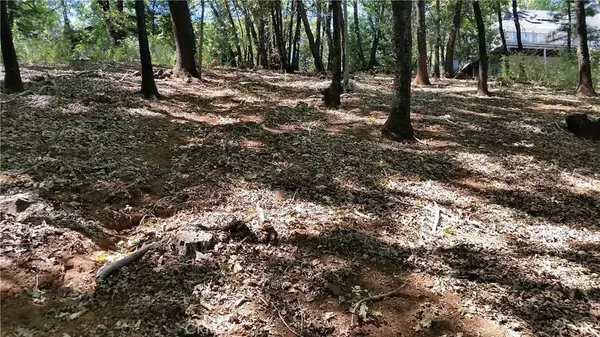 13424 Adrian, Magalia, CA 95954