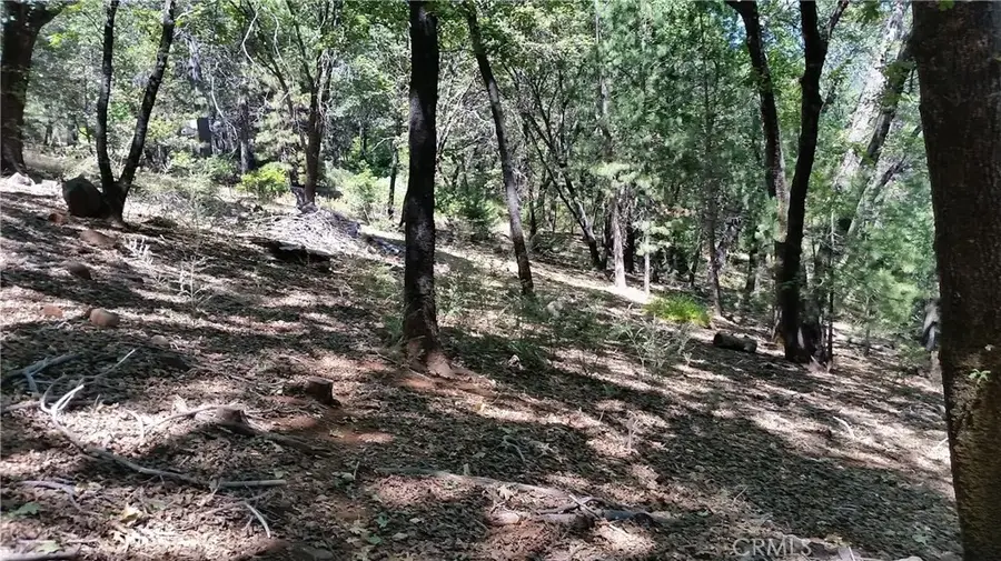 0 Adrian, Magalia, CA 95954 - #2