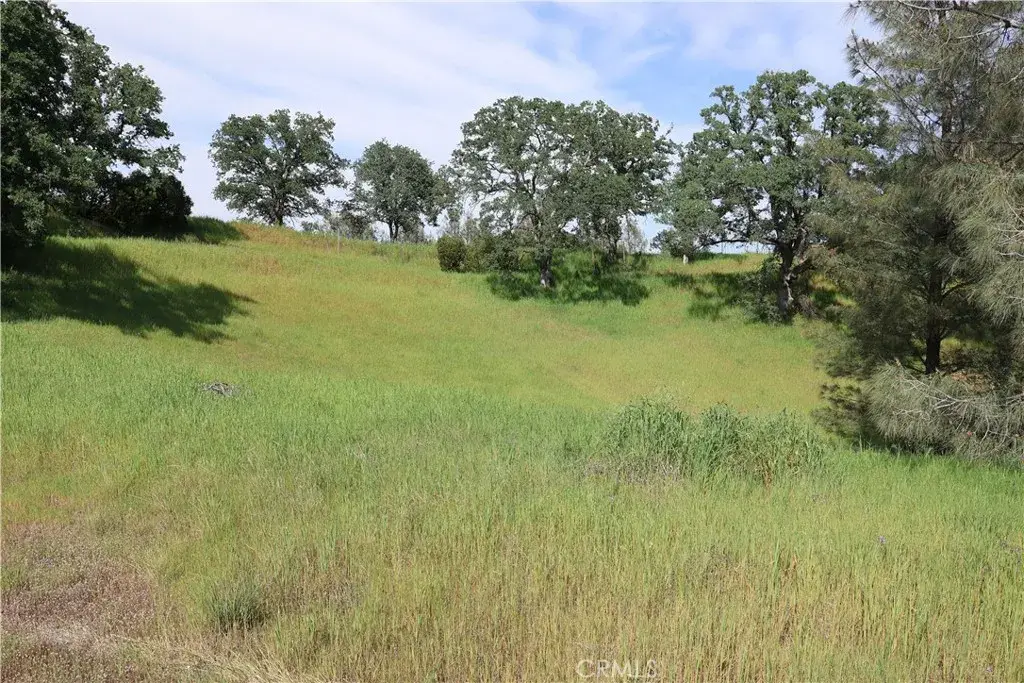 7325 Bluebird Rd., Corning, CA 96021 - #1