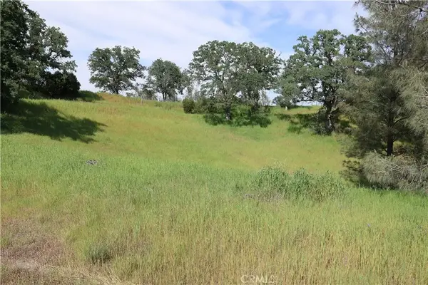 7325 Bluebird Rd., Corning, CA 96021