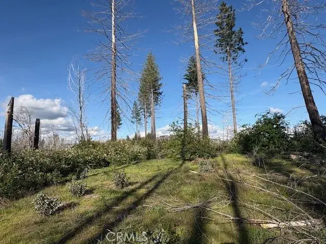 0 Bald Rock Road, Brush Creek, CA 95916 - #1