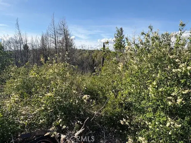 0 Bald Rock Road, Brush Creek, CA 95916 - #3