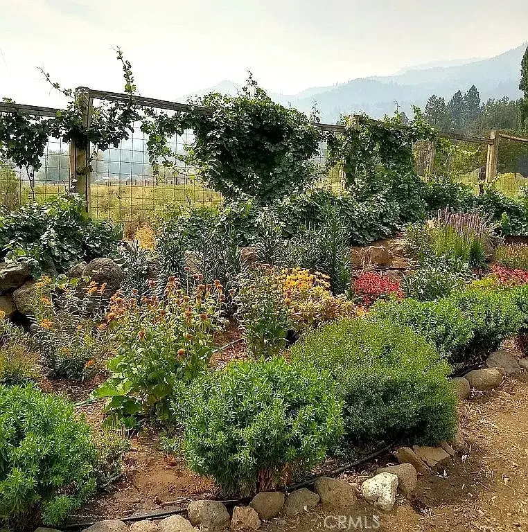 42528 County Road 1, Surprise Valley, CA 96115 - #3