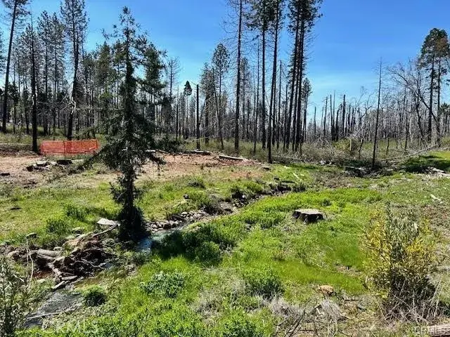 6230 Ponderosa, Magalia, CA 95954 - #1