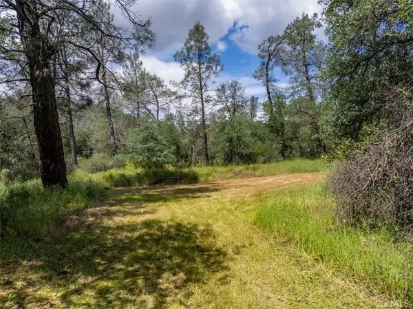 506 Black Canyon, Shasta Lake, CA 96019