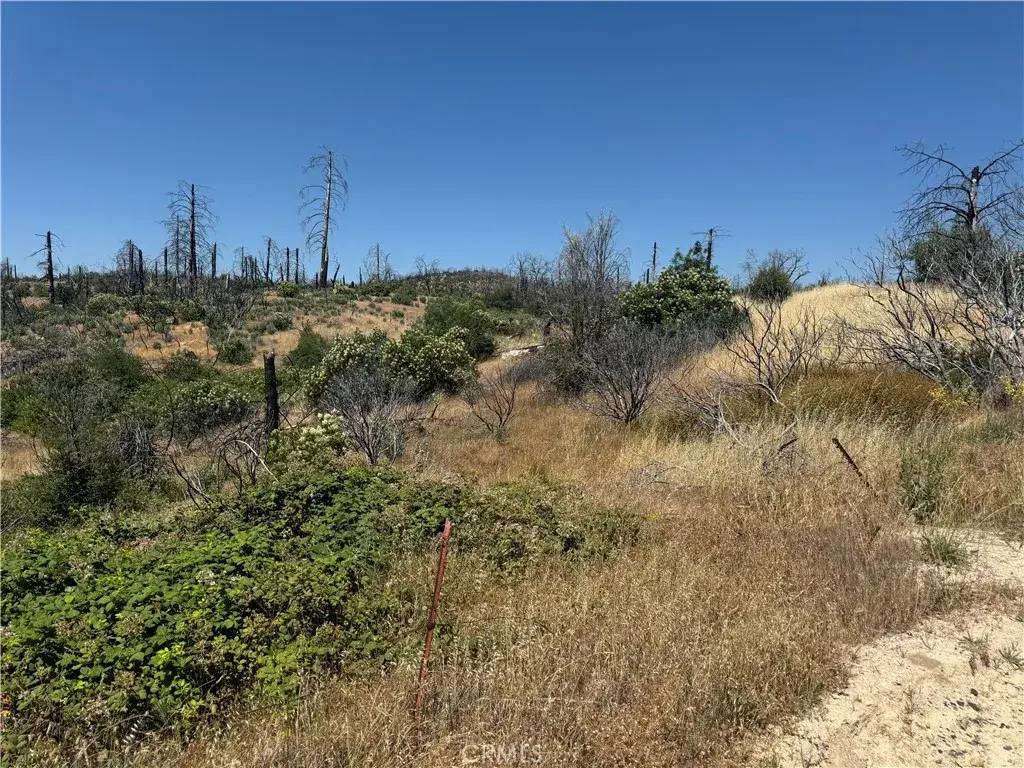 0 Sierra View, Berry Creek, CA 95916 - #1