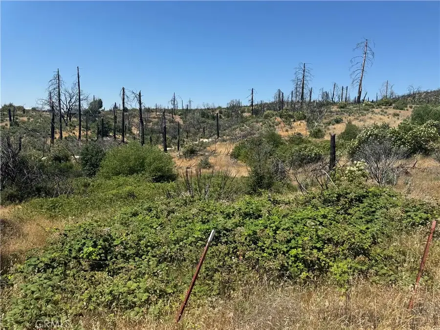 0 Sierra View, Berry Creek, CA 95916 - #2