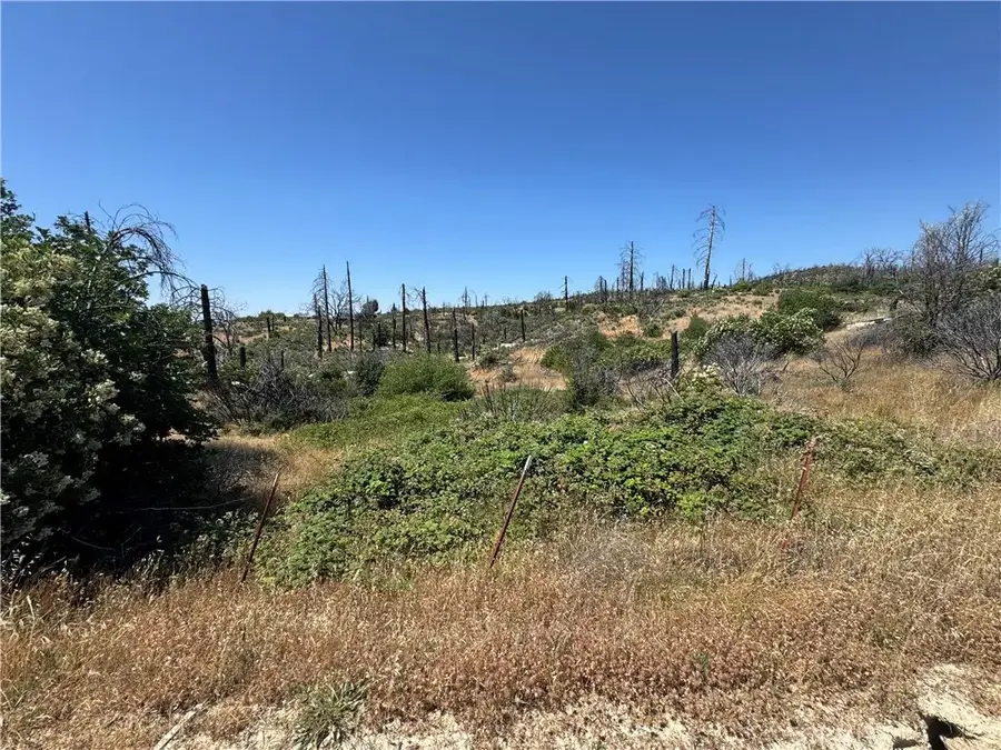 0 Sierra View, Berry Creek, CA 95916 - #3
