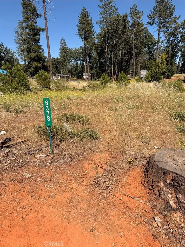 6378 Lucky John, Paradise, CA 95969 - #3