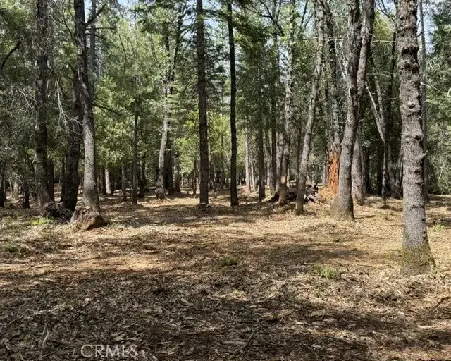 0 Platt Mountain, Forest Ranch, CA 95942 - #2